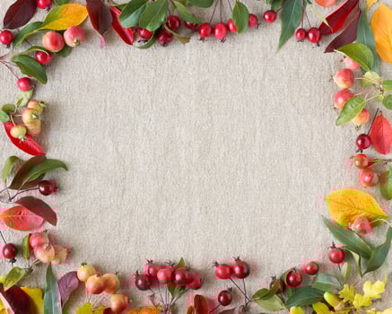 Autumn background of berries, small wild apples, acorns and leaves gray linen textile background photo
