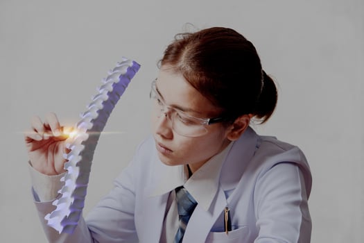 Woman doctor holding hand at human spine model, spine analysis for planing of treatment photo