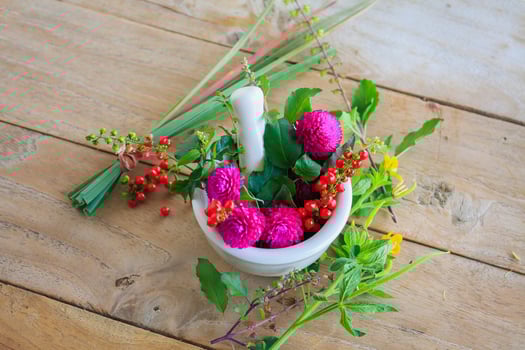 Fresh herbs in the mortar, alternative medicine photo