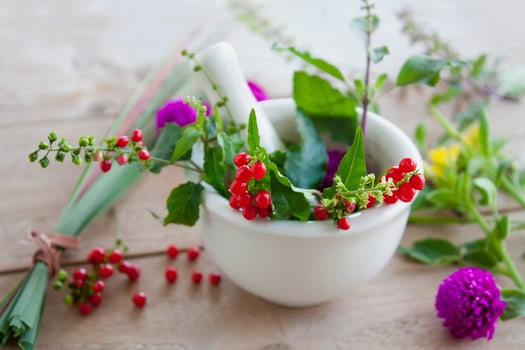 Fresh herbs in the mortar, alternative medicine photo
