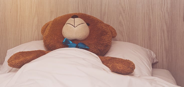Teddy Bear lying in the bed photo