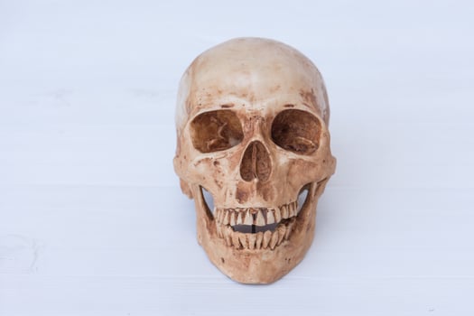 Front view of human skull photo