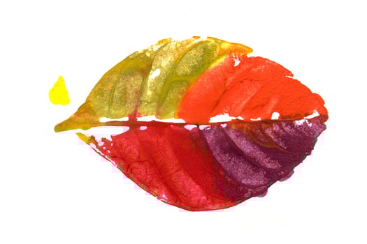 Colorful print of leaf isolated on white background photo