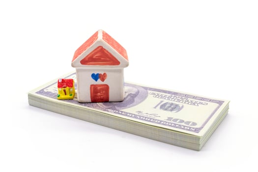 House and Dollar isolated on white background. photo