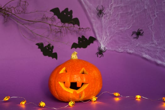 Halloween backgrounds of Jack lantern natural pumpkin, spiders and black bats on a purple background with terrible scenery. Horror and a scary holiday with copy space photo