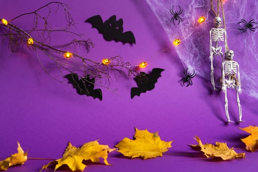 Halloween backgrounds of Jack lantern pumpkin glowing garland, spider web, skeleton on a rope, spiders and black bats on a purple background with dry yellow leaves. Horror and a scary holiday photo