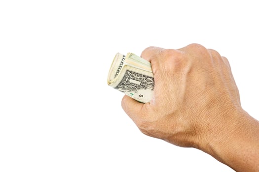 US dollars on hand. photo