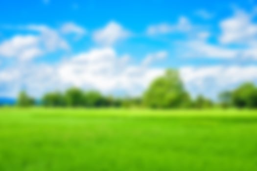 Fresh green rice fields and blurry sky photo