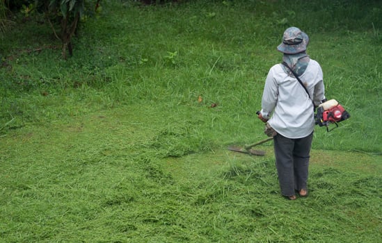 man cutting grass photo