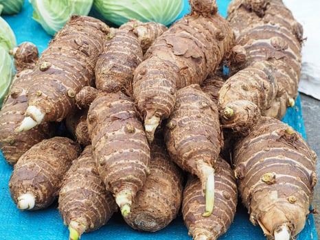Fresh organic taro for sale in the market photo