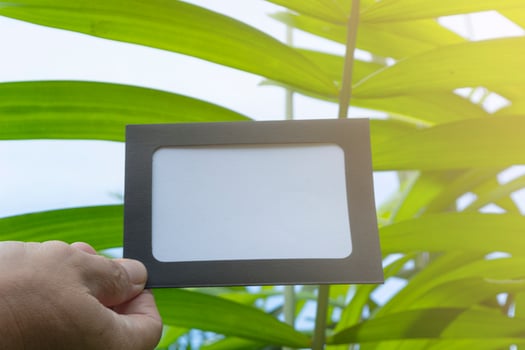 Hands holding framed paper blank with blurred background of trees photo