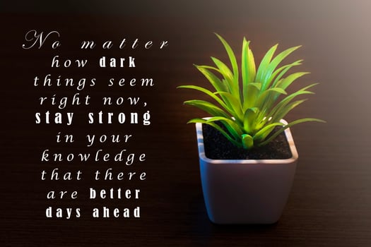 Motivational and inspirational quote on dark background with potted plant photo