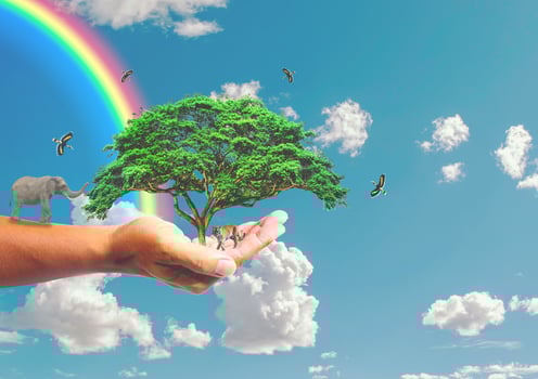 The concept of saving the world, protecting the environment. tree in hand for change photo