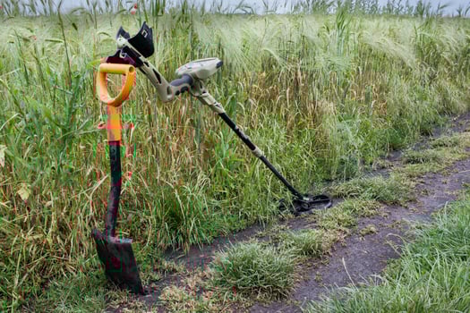metal detector in the field photo