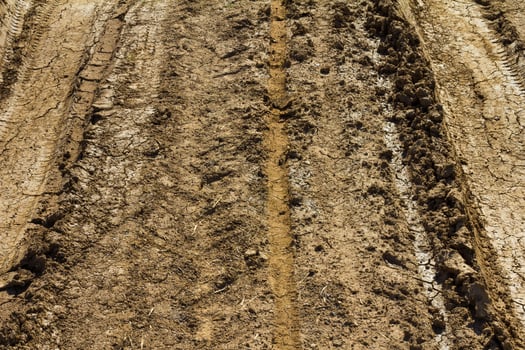 Dirt road after rain photo