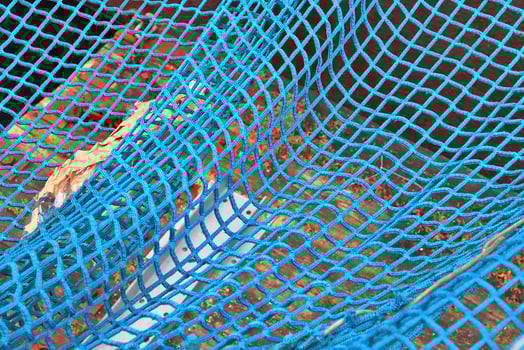 Close up on a blue fishing net at the harbour of Kiel in Germany photo