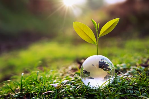glass globe ball with tree growing and green nature blur background. eco earth day concept photo