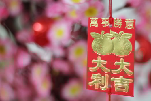 Pink Cherry Blossoms with Chinese ornaments on a blur cafe background photo