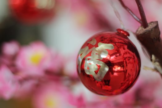 Pink Cherry Blossoms with Chinese ornaments on a blur cafe background photo