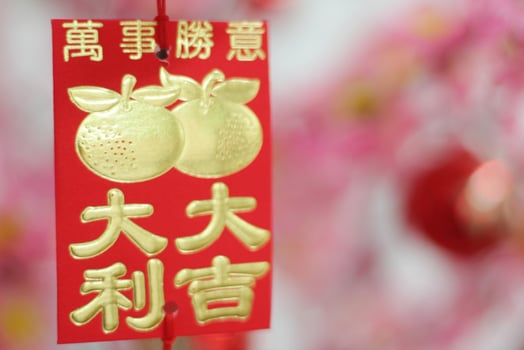 Pink Cherry Blossoms with Chinese ornaments on a blur cafe background photo