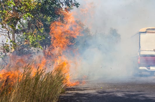 Grass fire smoke on the street. photo