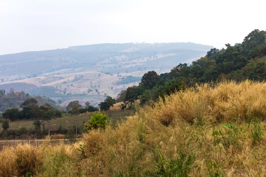 Mountains are deforestation. photo