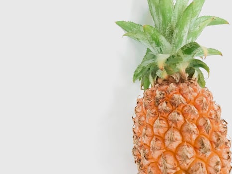 pineapple photo with white background