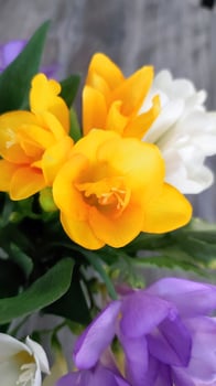 Bouquet of Freesia Flowers in a glass pot against a green backdrop. photo