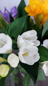 Bouquet of Freesia Flowers in a glass pot against a green backdrop. photo