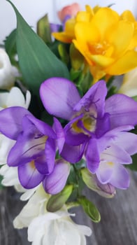 Bouquet of Freesia Flowers in a glass pot against a green backdrop. photo