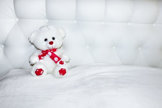 Teddy bear on a light background photo