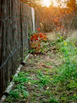 old fence background for photography vertical blurred photo