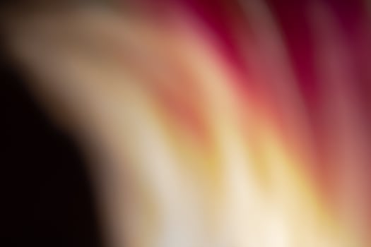 Abstract red orange black background. Softly blurred flame. photo