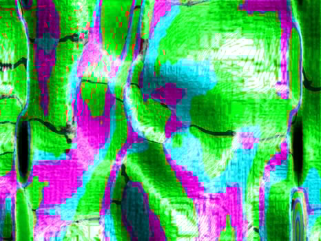 Digital Illustration Beautiful Abstract Vibrant Background photo