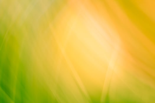 Abstraction of the sun through the green grass. Background in green-orange shades. photo