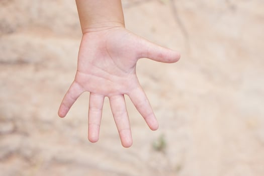 Children's hands are outstretched, touching nature. photo