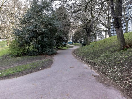 Path in a Park photo