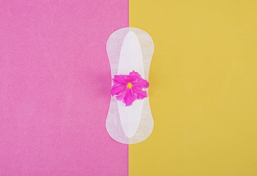 Sanitary pad for critical days and a purple flower on a pink-yellow background. Care of hygiene during menstruation. Regular menstrual cycle. Top view, copy space photo