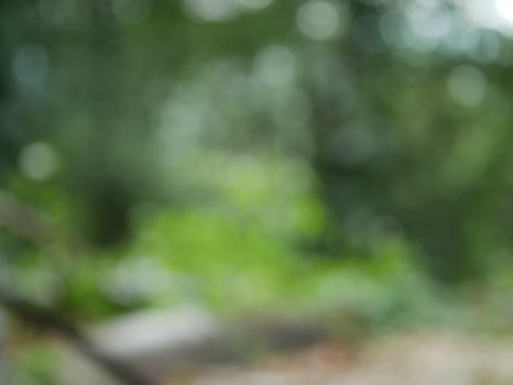 bokeh blurred out of focus background photo