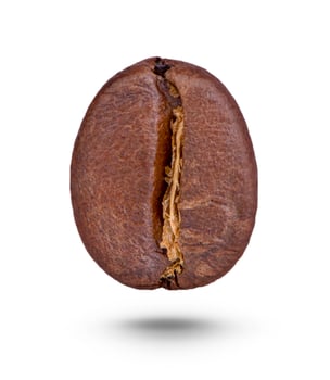 Coffee beans. Isolated on a white background photo