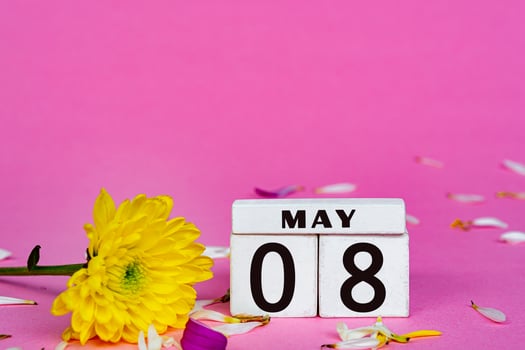 Yellow dahlia flower with wooden block cube on pink background. Copy space. photo