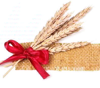 Sackcloth and wheat photo