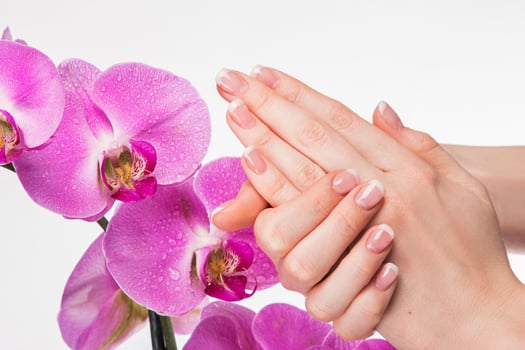 French manicure and orchid flower photo
