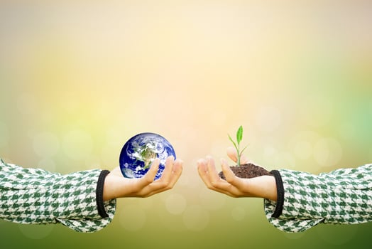 Human hand holding  tree and world on blurred nature background.World environment day. photo