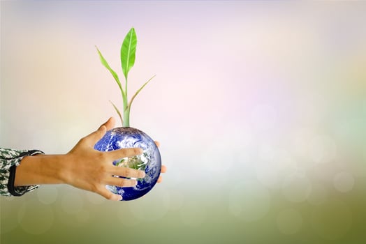 Human hand holding  tree and world on blurred nature background.World environment day. photo