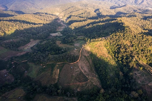 Aerial view of tropical rainforest area with gravel road, environmental conservation in countryside photo