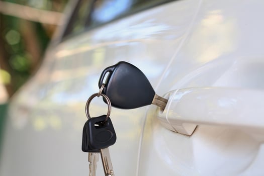 Car keys left in the car door photo