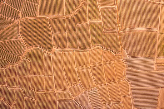 Agricultural soil groove, land spot field preparing for cultivation in farmland at countryside photo