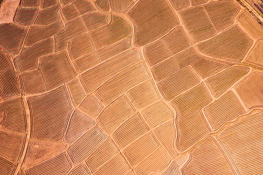Agricultural soil groove, land spot field preparing for cultivation in farmland at countryside photo