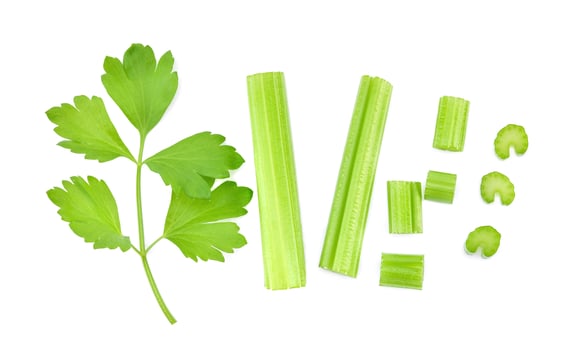 Top view of celery isolated on white background photo